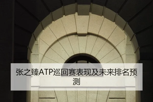 张之臻ATP巡回赛表现及未来排名预测
